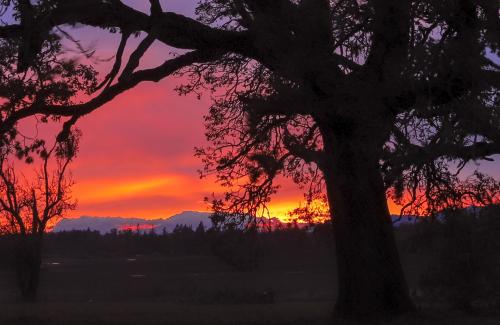 Sunset in November