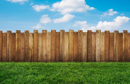 Fence
