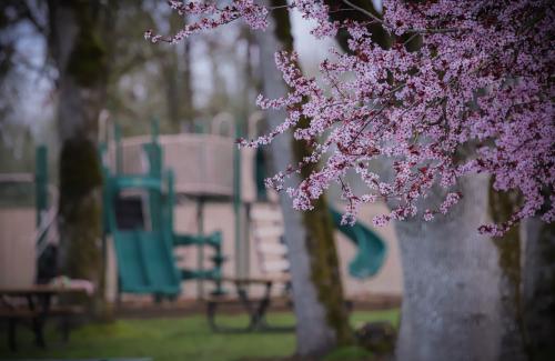 Acorn Park Play Area