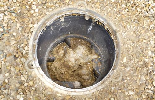 Blocked sewer pipe