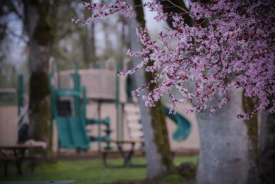 Acorn Park Play Area